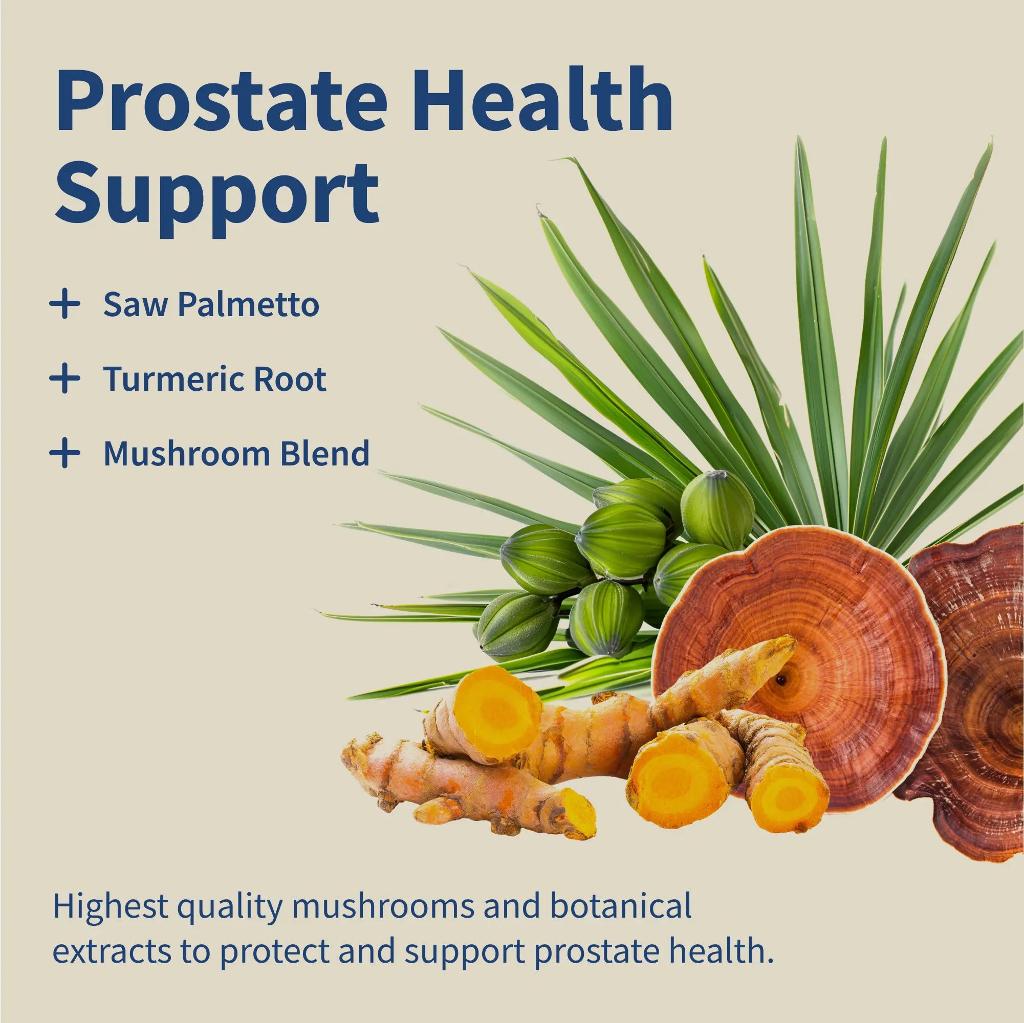 Boost Your Health with Snap Supplements - Prostate Health & Brain Food Bundle for Optimal Cognitive and Prostate Support